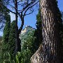 Giardino pubblico, Taormina