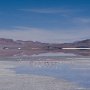 Laguna_Colorada_1